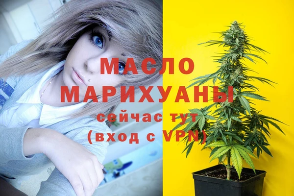 дмт Краснослободск