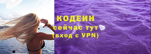 дмт Краснослободск